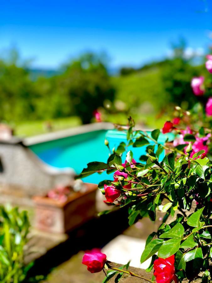 Relais Tenuta Gentili 圣利博拉图 外观 照片